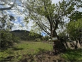 Image du bien APR741361